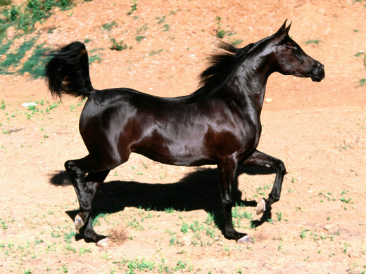 349076 (a): :1600x1200